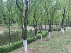 -西安浐灞国家湿地公园