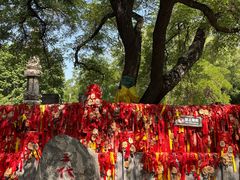 -大槐树寻根祭祖园