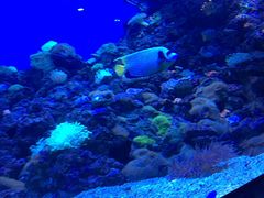 -成都浩海立方海洋公园