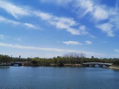 -大兴滨河森林公园