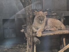 -西安秦岭野生动物园
