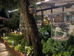 -蘇河湾·新鲁菜·泰山宴(泰山店)