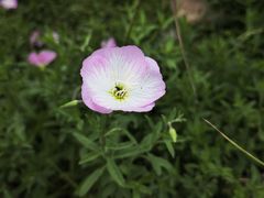 -滆湖低碳生态公园