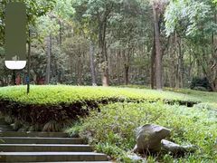 -杭州半山国家森林公园