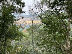 -上海佘山国家森林公园天马山园