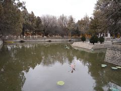 -罗布林卡