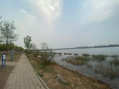 -绿堤公园