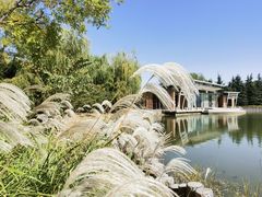 -大兴滨河森林公园