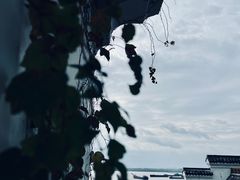 -岳阳楼景区