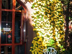 -月亮眼花园餐厅书吧酒吧