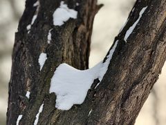 -森林公园(尖草坪区)