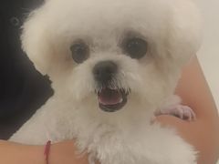 -comecome来吧宠物(奥克斯中心店)