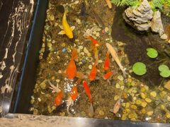 -隐炉和牛烧肉店(群力店)