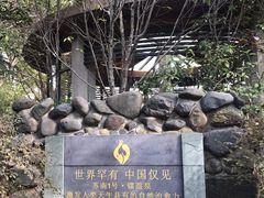 -张家港金凤凰度假村温泉