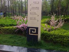 -木塔寺遗址生态公园