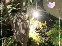 -绿茶餐厅(淮安吾悦广场店)