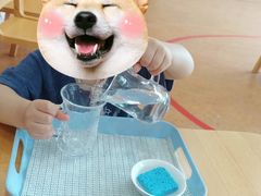 -玛利娅蒙特梭利早教·托育(麒麟门银亿东城直营校区)