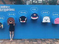 -重庆海昌加勒比海水世界