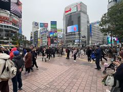 -涩谷全向十字路口