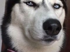 -添福来墨鱼饺子 · 海鲜东北菜(大连星海·黄浦路店)