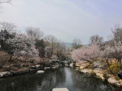 -国家植物园南园