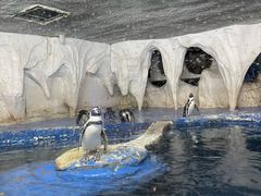 -太平洋海底世界