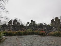 -千岛湖石林
