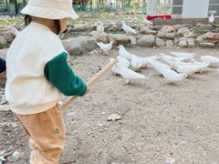 -长白岛森林公园