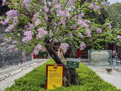 -西安市广仁寺
