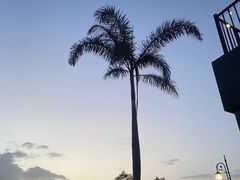 -米村拌饭(天津东丽万达店)