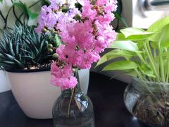 -池田寿司·新鲜现做(昌平悦荟店)