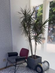 -型色沙龙 Color Salon