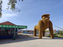 -乌梁素海景区