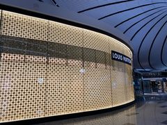 -LV路易威登(大兴国际机场店)