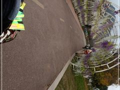 -云漫湖生态度假公园