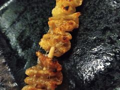 烤鸡皮-串鑫