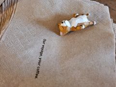 -VOYAGE COFFEE(北锣鼓巷店)