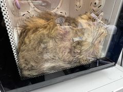 -FAELING PETS美天灵宠物(富力广场店)