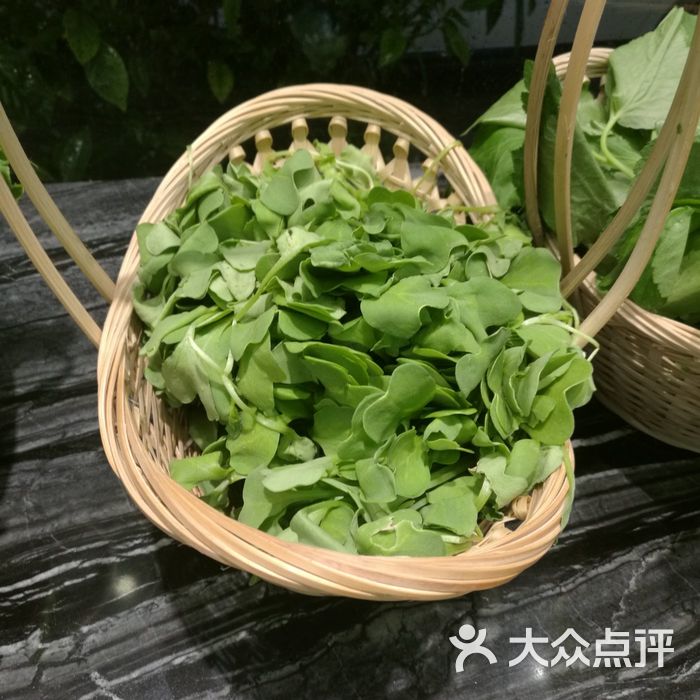 老街坊徽菜野菜马兰头图片-北京徽菜-大众点评网