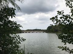 -昆山城市生态森林公园