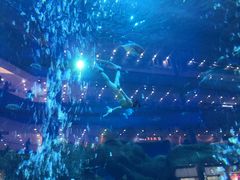 -成都浩海立方海洋公园