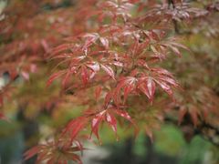 -陕西师范大学(雁塔校区)