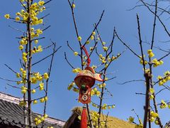 -钱王祠