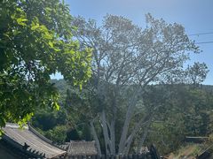 -潭柘寺景区