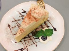 -飞行喵MR PILOT|猫舍·猫咖(静安大融城店)