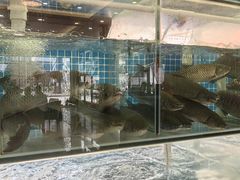 -祈胜邨•顺德鱼生•顺德菜(容桂店)