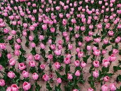 -廊坊文化艺术中心