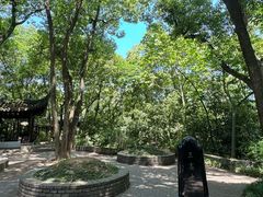 -上海佘山国家森林公园天马山园