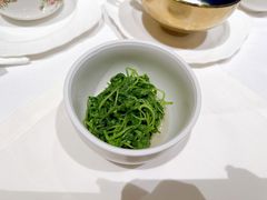 泉水时蔬-西郊5号·Maggie 5