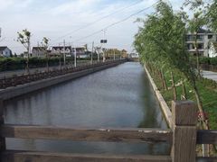 -南汇水蜜桃采摘(大团店)